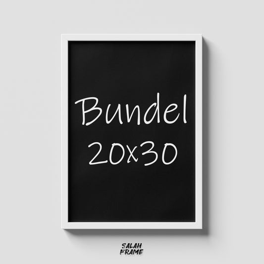 Bundle of 4 Frames - 20x30 For 999 L.E. (instead of 1120 L.E.) + FREE SHIPPING